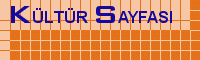Kültür Sayfası