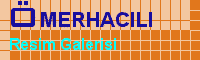 Giriş